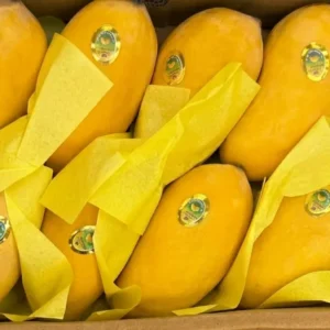 Fresh Pakistani Sindhri Mangoes –