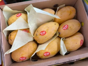 Fresh Pakistani Sindhri Mangoes – Premium Sweet Juicy