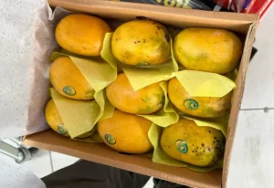 Fresh Chaunsa Mangoes from Pakistan | Naturally Ripened