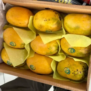 Fresh Chaunsa Mangoes from Pakistan | Naturally Ripened