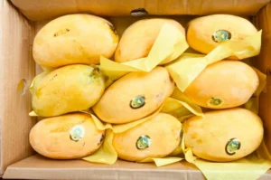 Fresh Pakistani Sindhri Mangoes