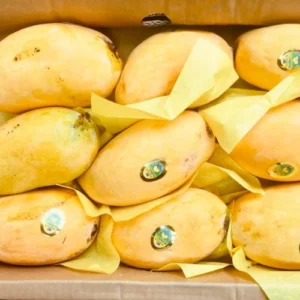 Fresh Pakistani Sindhri Mangoes