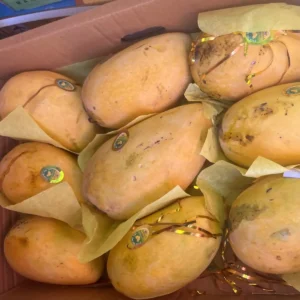 Fresh Chaunsa Mangoes from Pakistan | Naturally Ripened