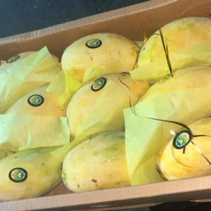 Fresh Chaunsa Mangoes from Pakistan |