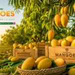Why Pakistani Mangoes Are Considered the Best in the World